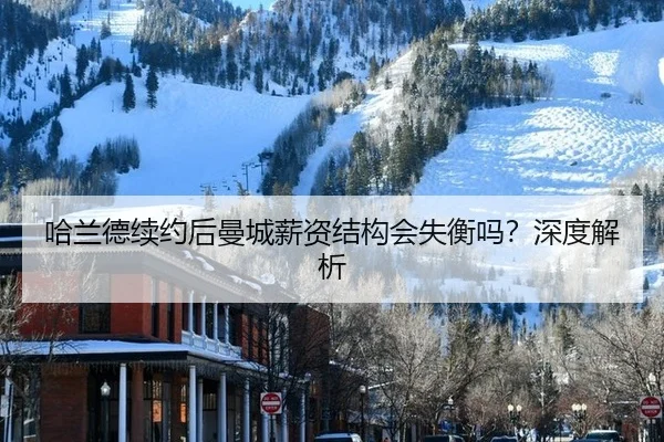 ha-lan-de-xu-yue-hou-man-cheng-xin-zi-jie-gou-hui-shi-heng-ma-shen-du-jie-xi-2-144.jpg