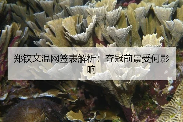 郑钦文温网签表解析：夺冠前景受何影响